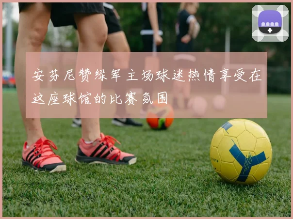 安芬尼赞绿军主场球迷热情享受在这座球馆的比赛氛围